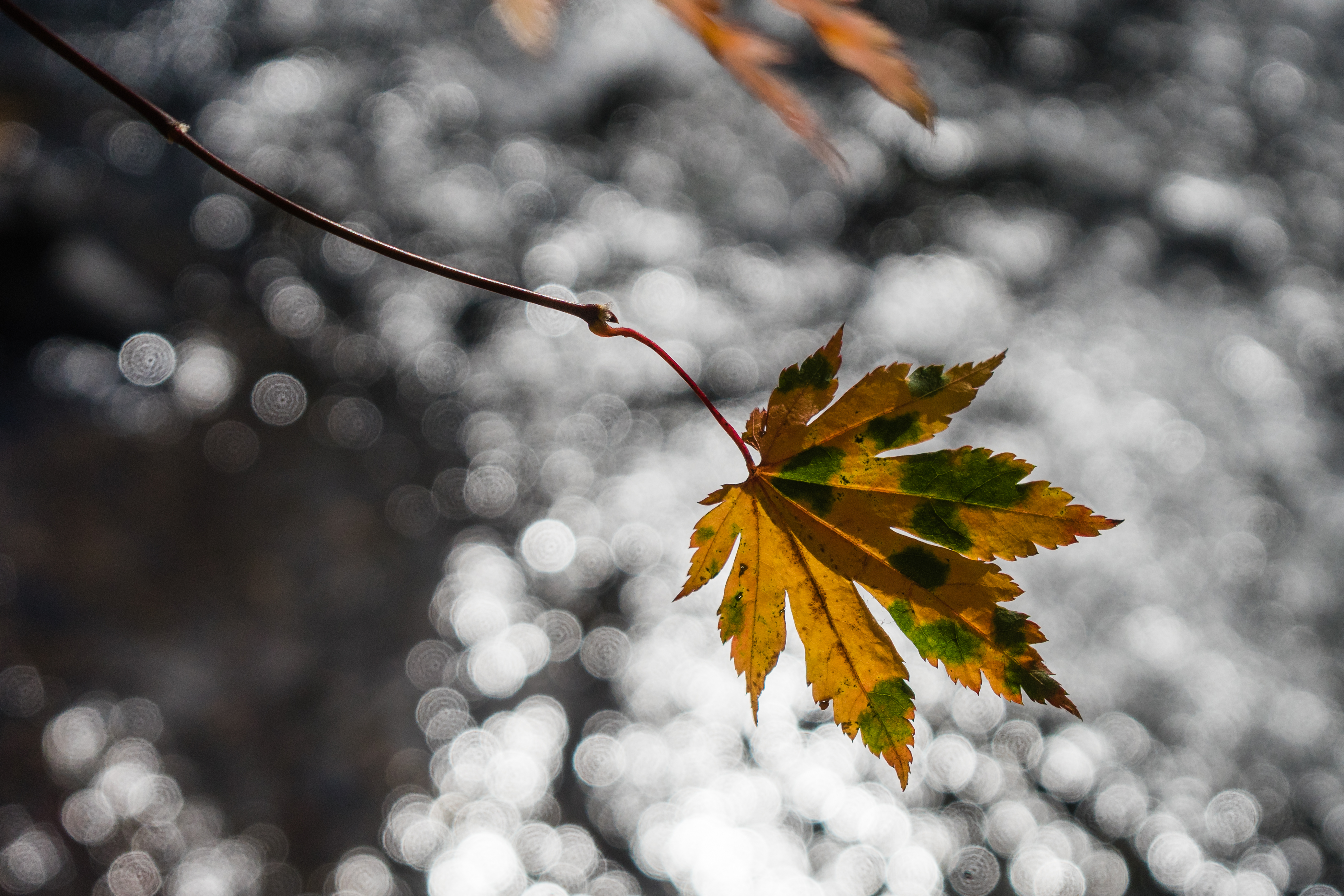 中朝边境自驾游视频,331国道自驾中朝攻略