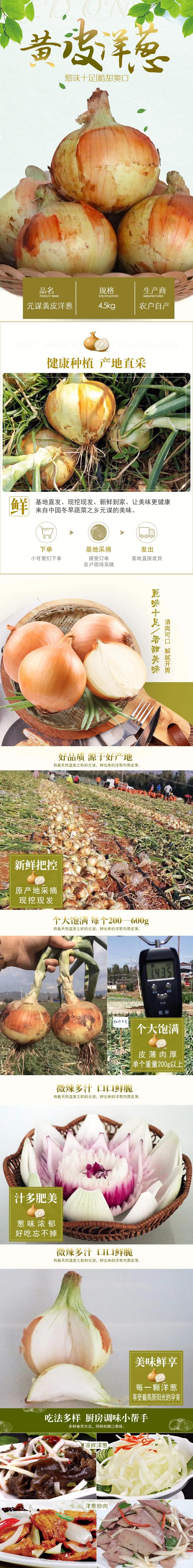 “太大了，立马下锅！”元谋出口级黄皮洋葱已到货，25万吨滞销洋葱等你来拼单！