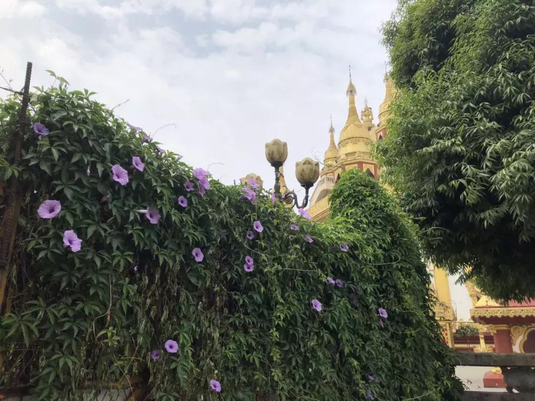 昆明大理腾冲瑞丽芒市六日游,瑞丽芒市腾冲四飞六日游