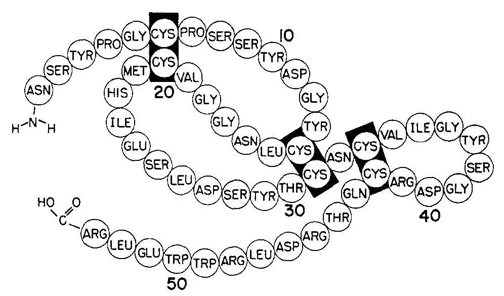 大s和李嘉欣,经得起多大的诋毁下一句