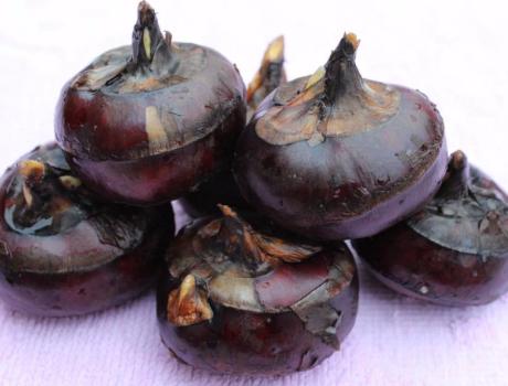 苹果山楂雪梨煮水治疗积食如何喝,陈皮苹果雪梨山楂红枣水宝宝积食