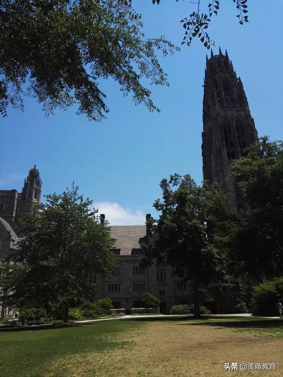 华盛顿圣路易斯大学是顶级大学吗,圣路易斯华盛顿大学商学院怎么样