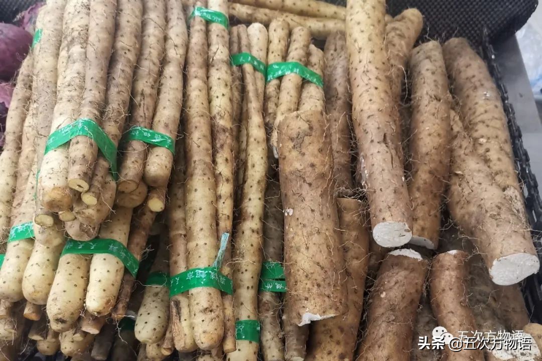 漫谈起源于中国的蔬菜