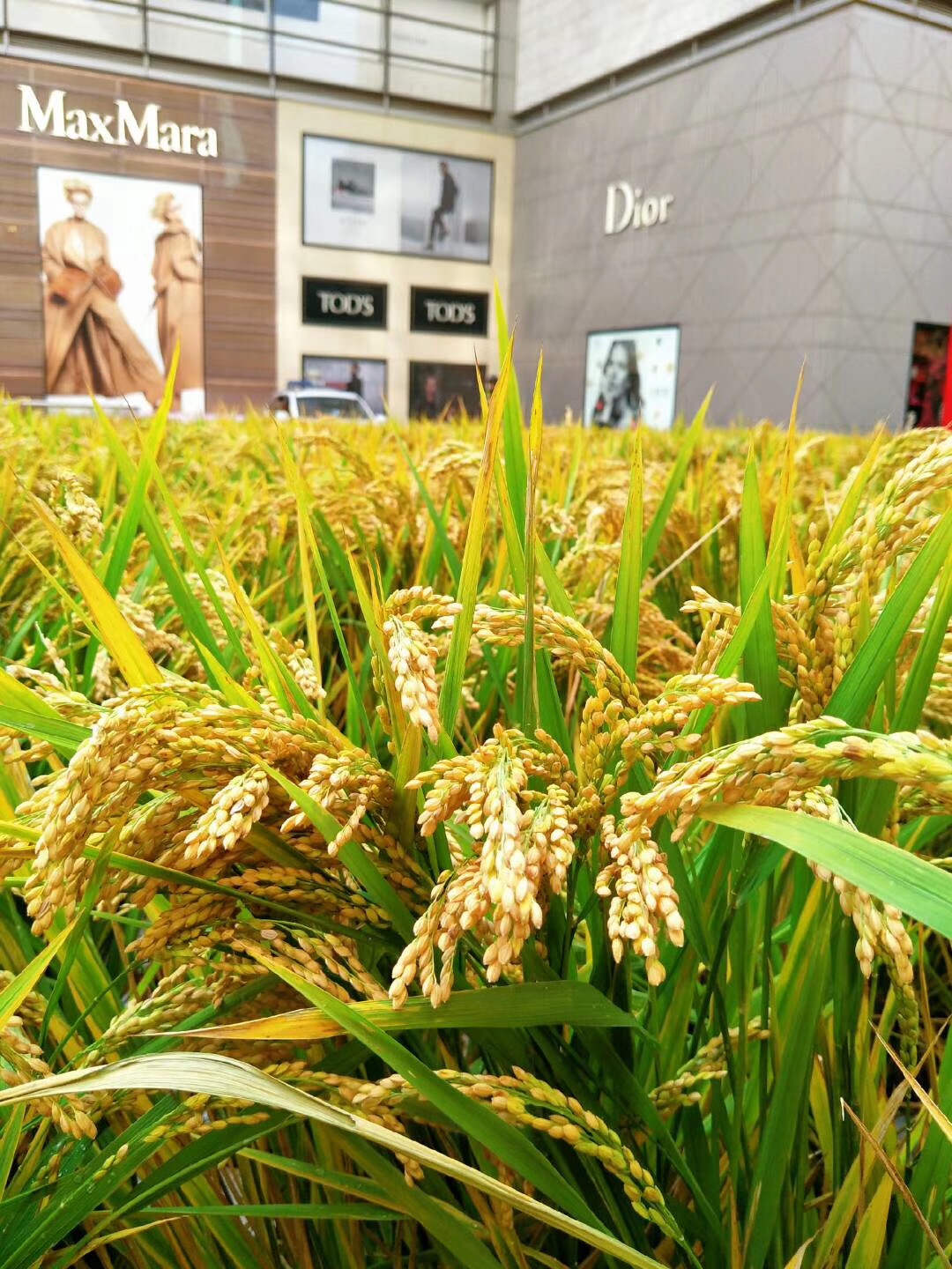 护肤抗皱祛痘,皮肤怎么补水祛痘好得快