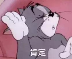 福懋动物医院：猫咪突然斗鸡眼，别顾着喊萌，可能还得喊医生