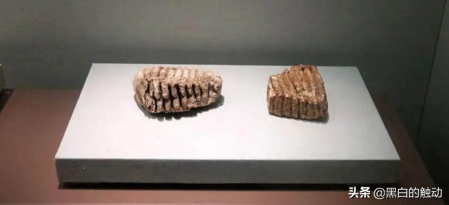 我们过年有哪些习俗,我们过年了舞蹈