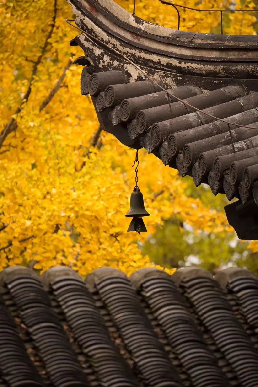 一入秋西安就美成长安,一入秋杭州就美成临安