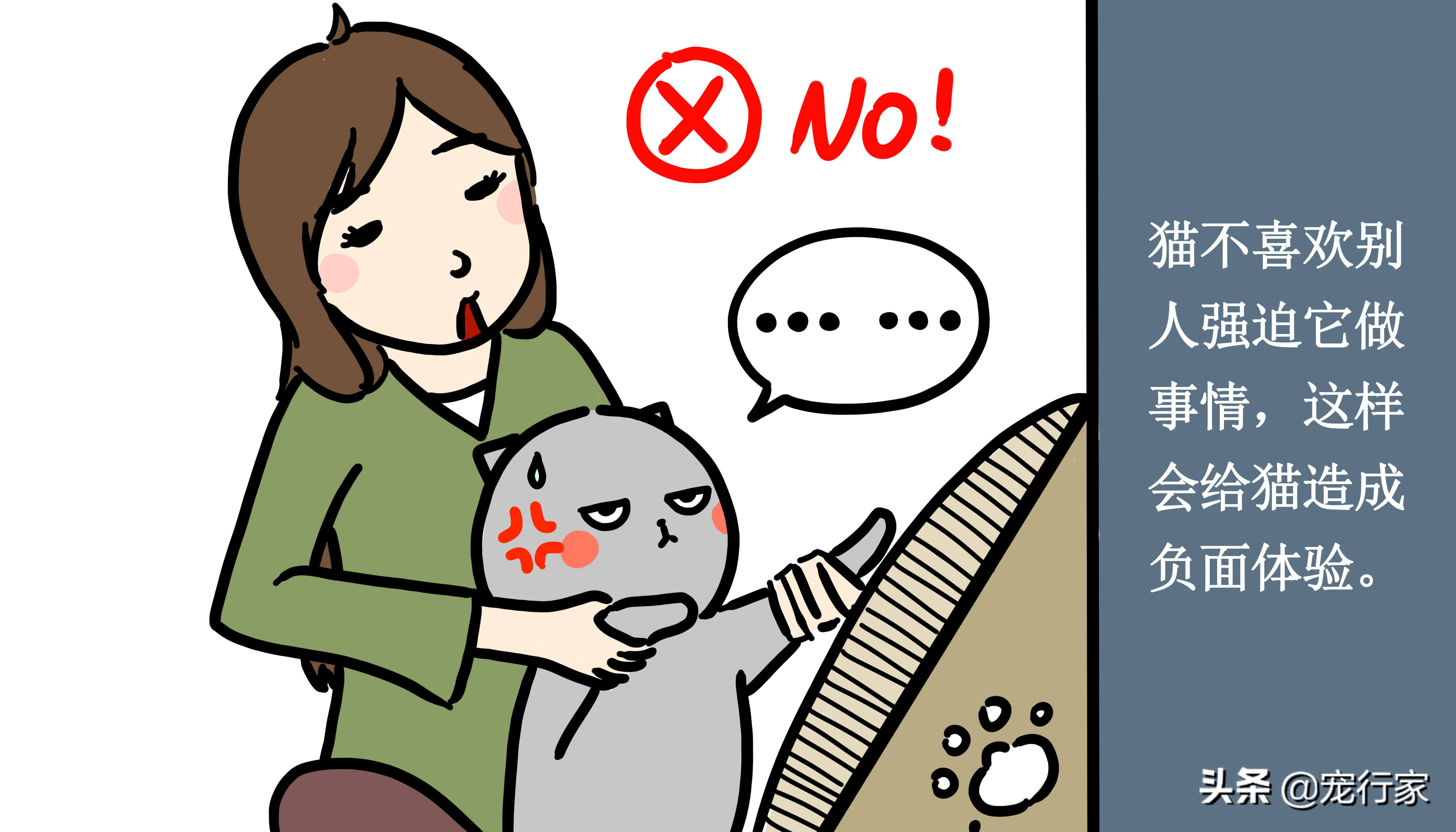 阻止猫咪乱抓家具的实用技巧:让猫学会不在家搞破坏,省下维修钱