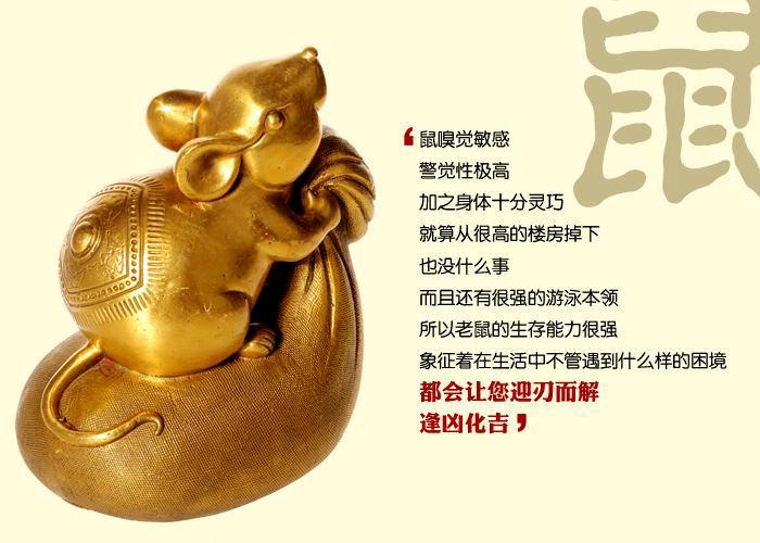 十二生肖的相合与相生怎么记,十二生肖相忌