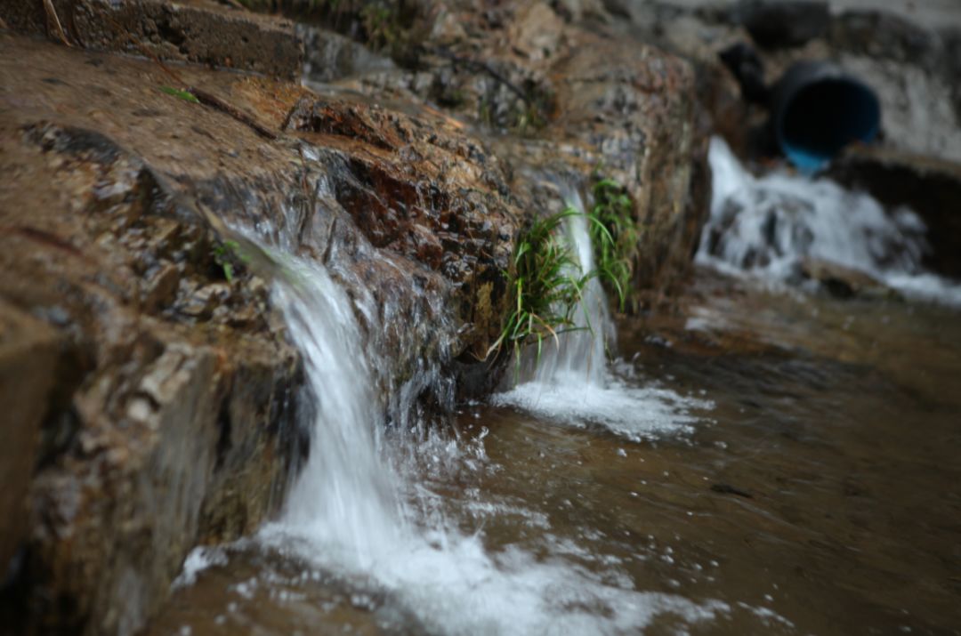 一场烟雨,把人困进仙境!藏在金华南山的这个小村,不求爆红,只求安静邂逅!