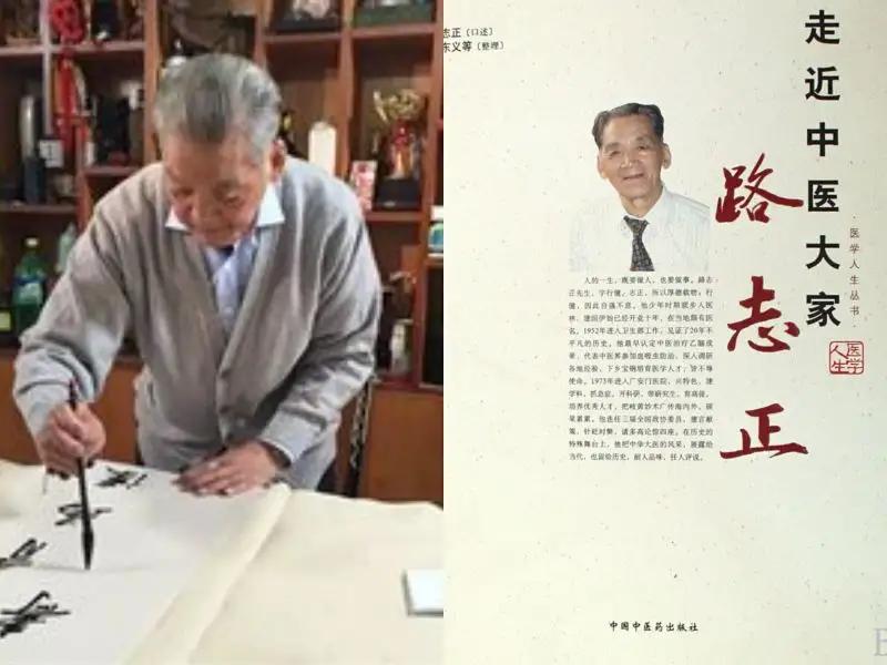 国医大师路志正活血化瘀,国医大师路志正健脾胃方剂