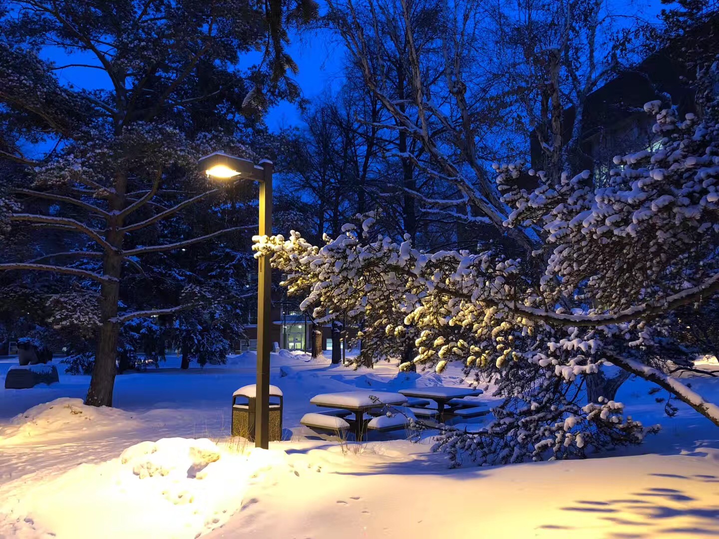 阿尔伯塔大学在加拿大哪里,加拿大阿尔伯塔大学世界排名