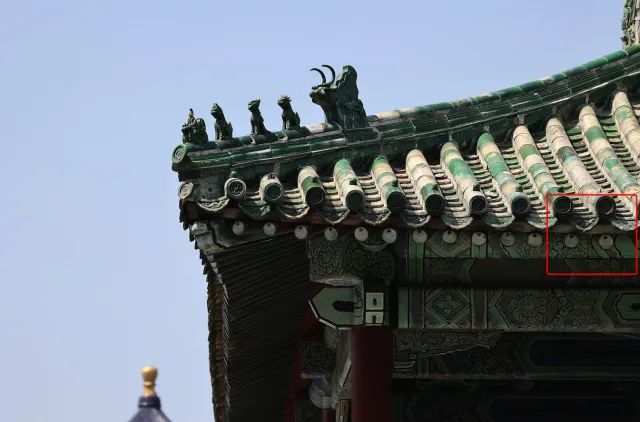 佳能rf100-500mm镜头拍鸟,佳能长焦相机100倍