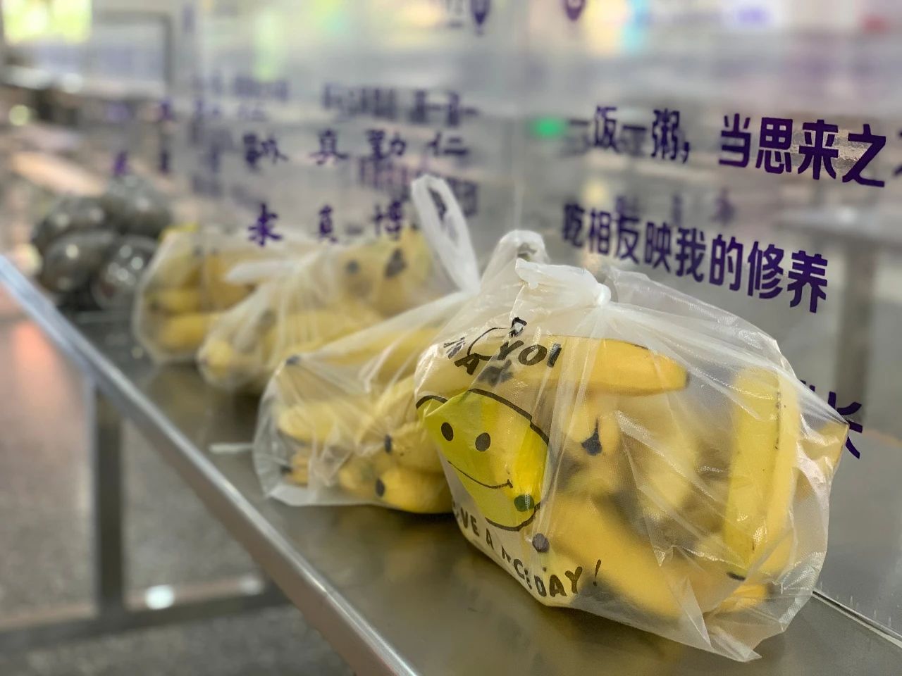 金中新校区,金中岱山教育集团