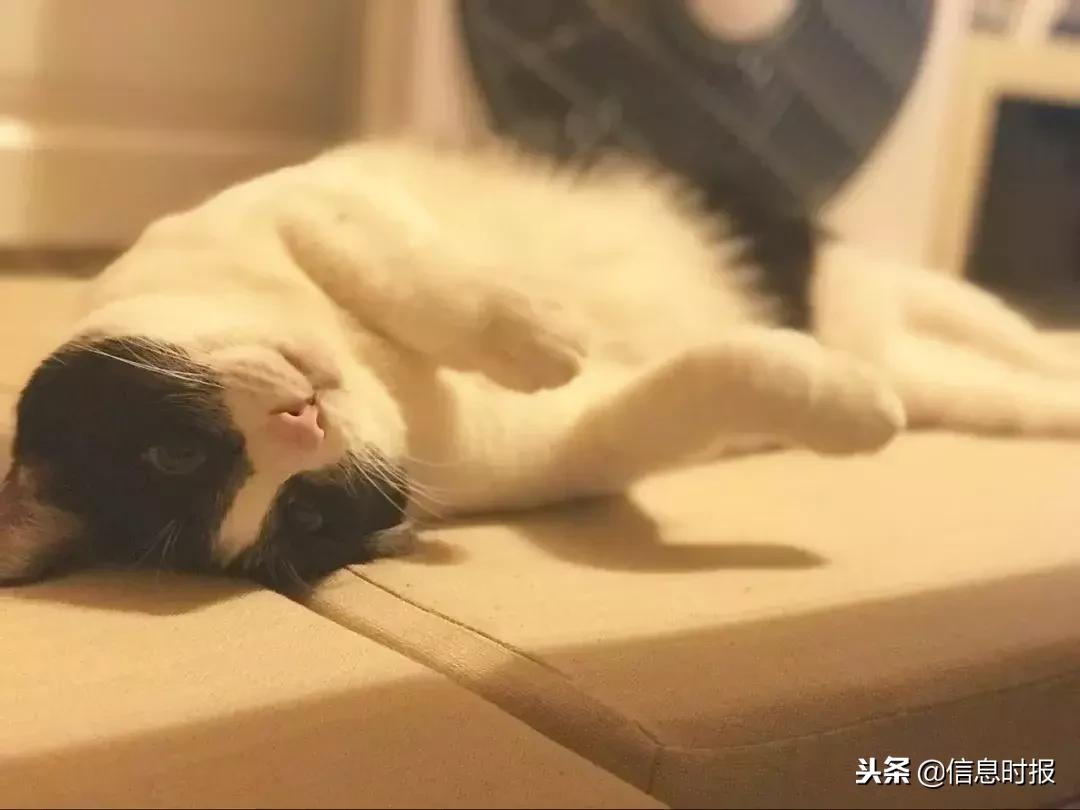 女生突然发烧39度无其他症状,女子莫名高烧40