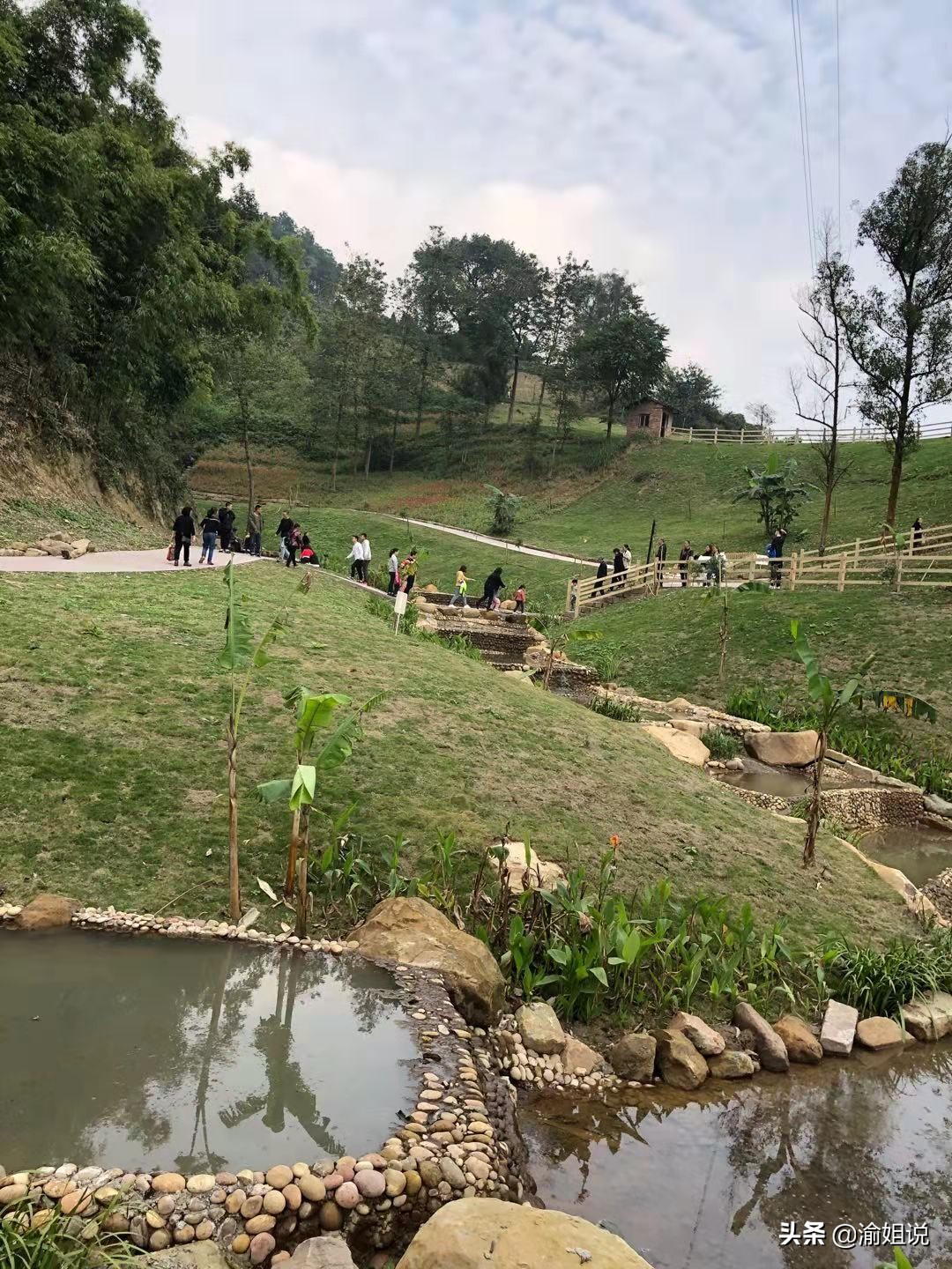 北碚世界自然公园要门票吗,北碚自然世界公园需要买门票么