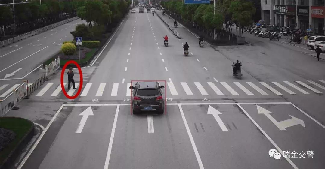 瑞金一大批车主被曝光!看看你“上榜”了吗?