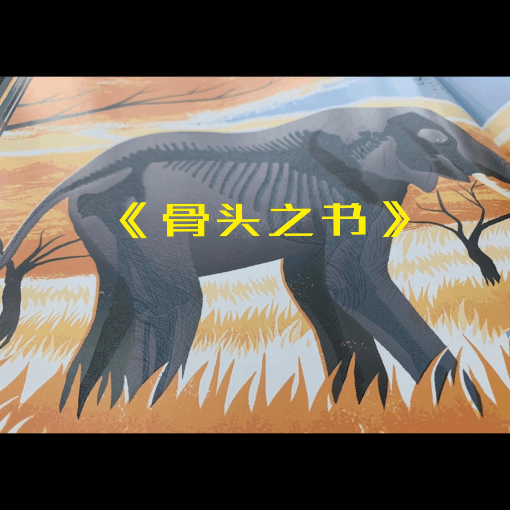 给孩子的自然科普书,3-6岁科技大探秘五大科普知识绘本