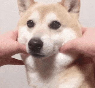 有哪些非常冷门的冷知识,那些非常冷门但实用的冷知识