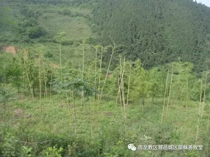 户县圣母山景区,户县中华圣母山介绍