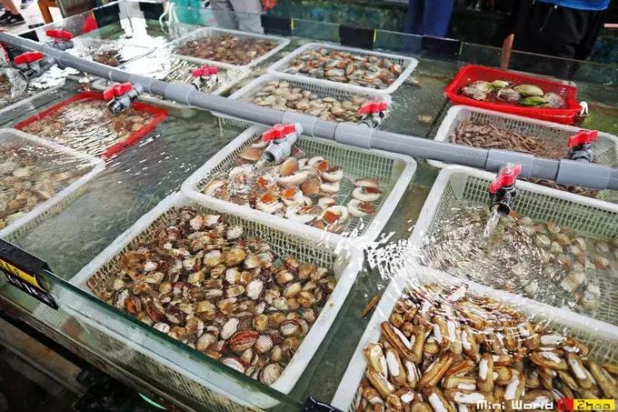 藏在日照的海边,竟然有一处世外桃源,赶海,捕鱼,温馨民宿……