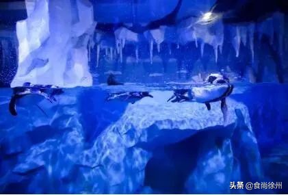 深夜重磅：一年疯一次！徐州南区都在传这事！100多家餐厅5折起