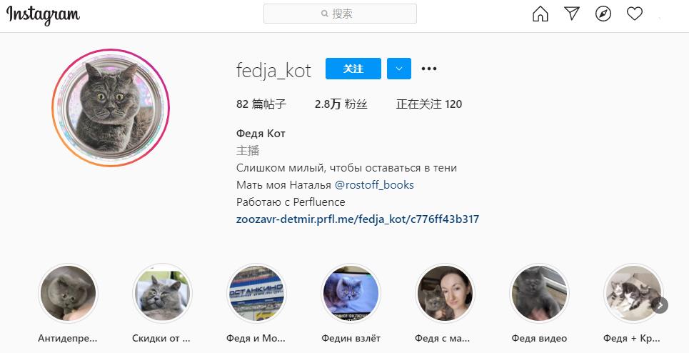 俄罗斯女子收养一只流浪橘猫,俄罗斯女孩收养猫