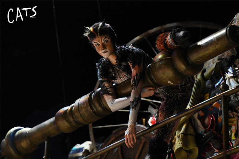 天津大剧院音乐剧演出,天津音乐剧2020