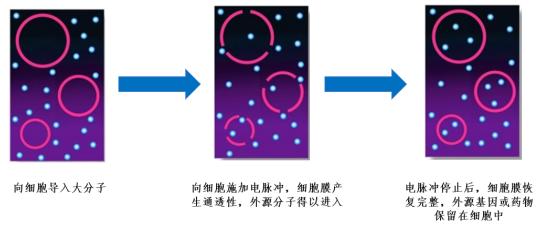 重要通知关于恢复线下教学,小课堂开课啦的公告