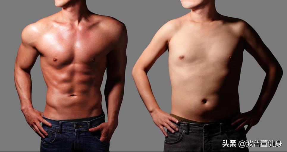 左旋肉碱怎样吃才能减肥,左旋肉碱怎么吃才减肥效果最好