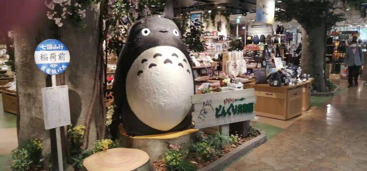 日本九州大学课程,日本九州大学怎么申请