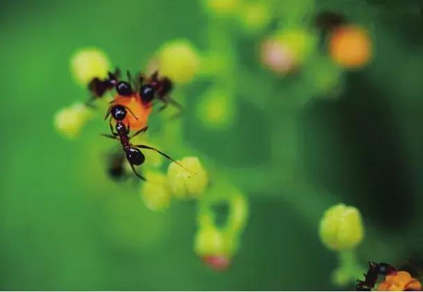 影视拍摄九格构图教程,九宫格人像构图拍照片技巧
