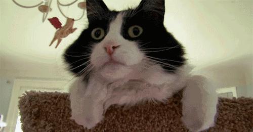 有人叫你sugarbaby以为是“甜心宝贝”？甩他一巴掌就对了