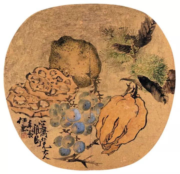 佛手只长叶不开花,佛手只有一种果子