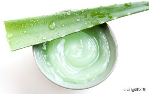 傻傻的用了那么久的胶水,你还以为芦荟胶的成分是芦荟?
