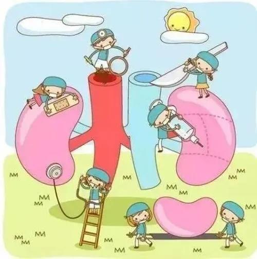 慢性肾病一天吃多少肉,慢性肾脏病一二期如何科学喝水