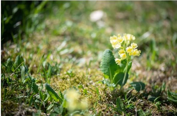 当你一无所有的时候歌曲,当你一无所有的时候健康是你唯一