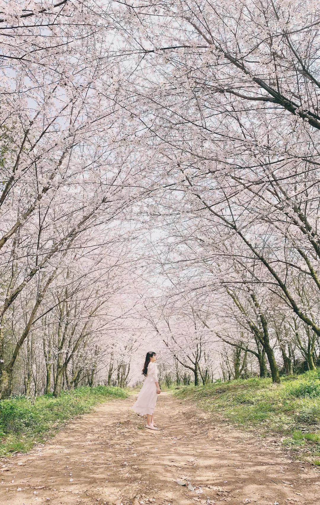 iphone手机相机的各个功能介绍,新手iphone使用注意事项