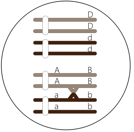 2020北京卷生物高考,北京高考生物试卷难吗