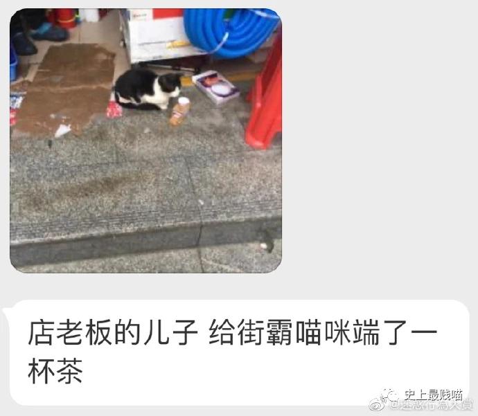 “教你怎么和家里的长辈微信聊天？”这操作太骚了！