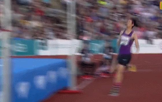 张国伟白鹤亮翅,张国伟现场版白鹤亮翅