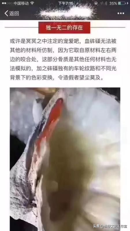 黄砗磲与白色玉化砗磲哪个硬度高,砗磲保养记住三点保证光亮如新