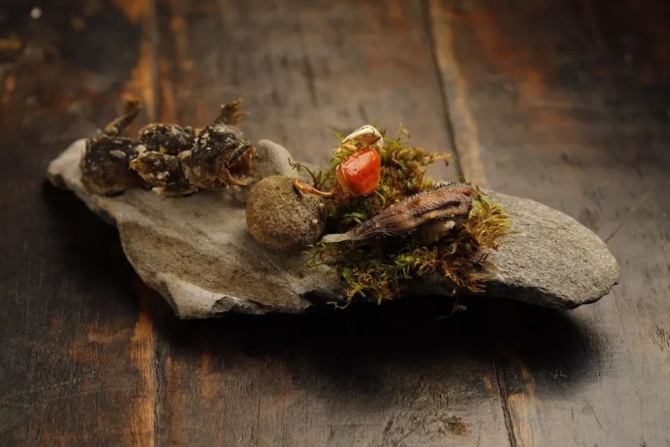 雪山下的温泉美丽,最值得去的有雪山温泉的地方