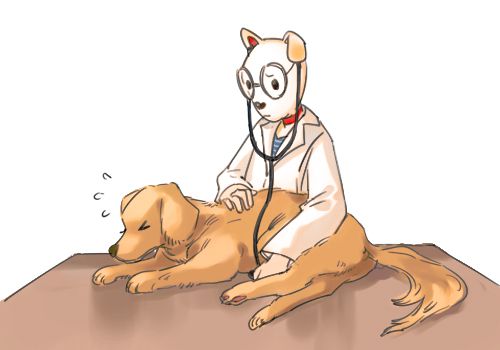 狗误食多久催吐,狗狗误食异物催吐后怎么护理