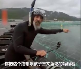 “最毒僵尸鱼”,外媒曝挪威三文鱼养殖乱象,看完胃不好了