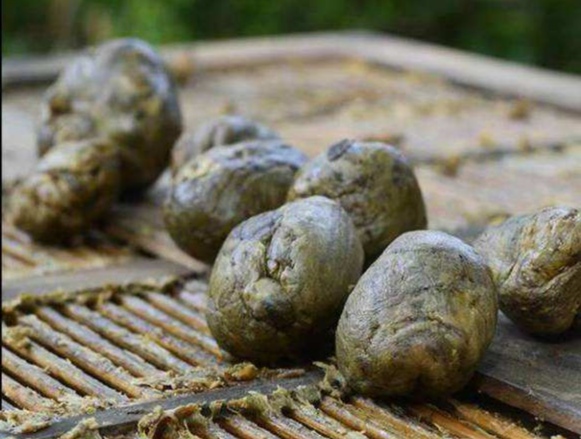 哪种物质被日本科学家称之为二十世纪最伟大的天然物质?