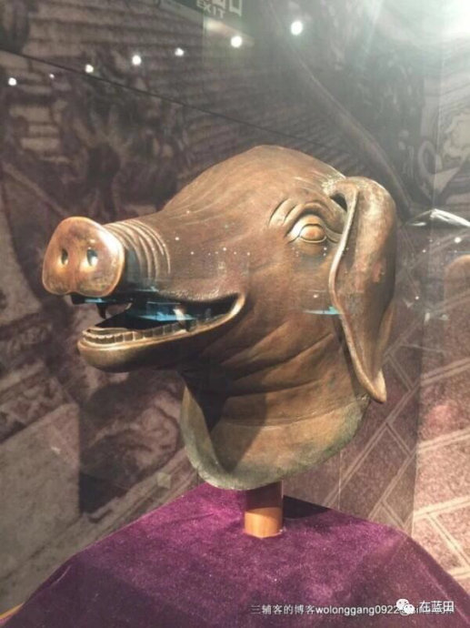 猪年写猪词,猪年像猪一样的吉祥话