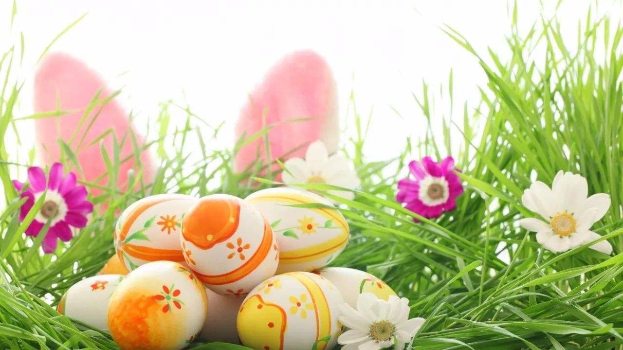 孕期补dha宝宝更聪明如何挑选dha,什么是dha为什么要补充