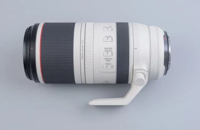 佳能rf100-500mm镜头拍鸟,佳能长焦相机100倍