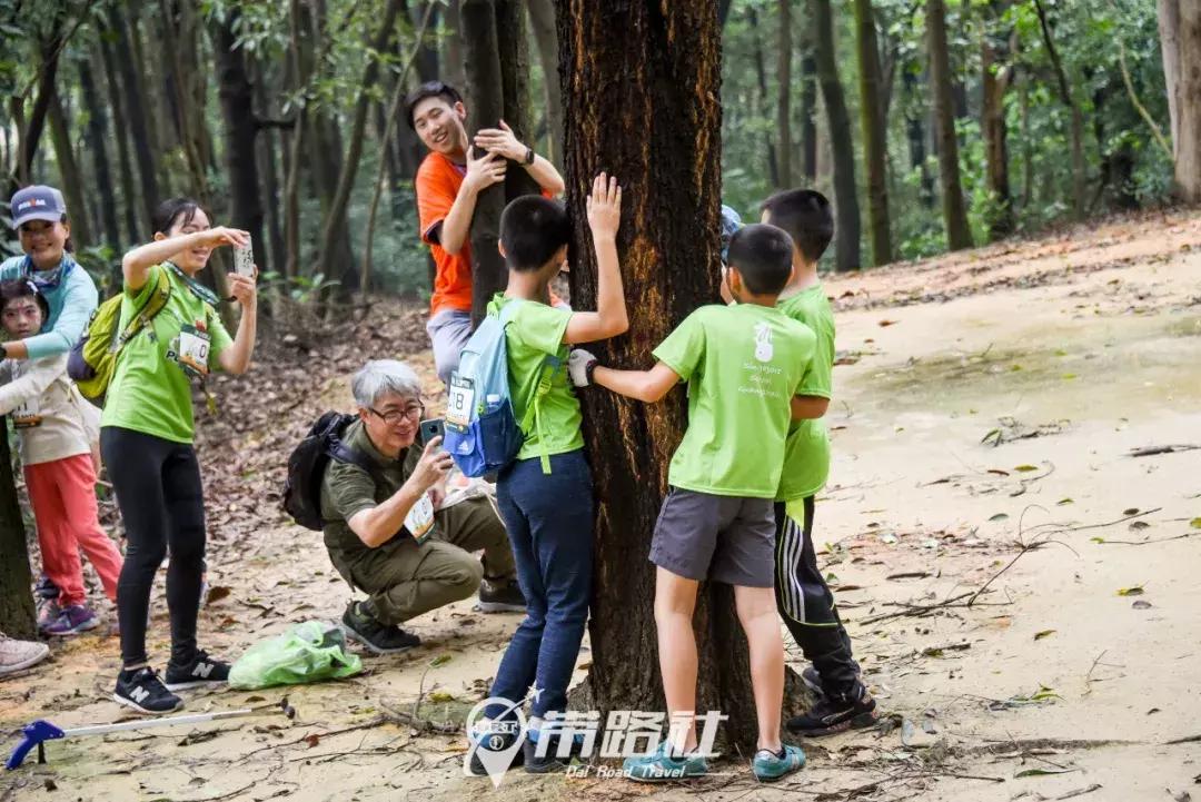 绿色环保行动实践活动总结,用行动践行绿色环保理念